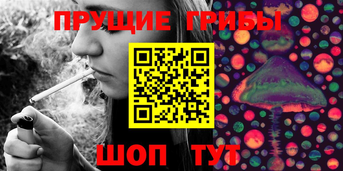 Псилоцибиновые грибы Cubensis Зеленогорск